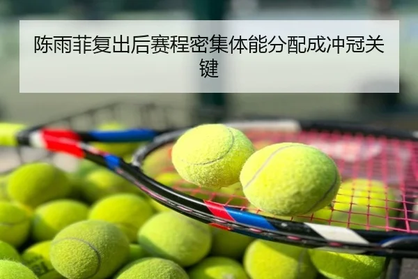 陈雨菲复出后赛程密集体能分配成冲冠关键