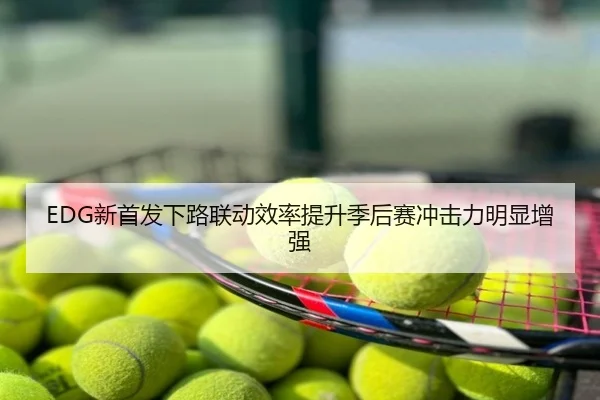 EDG新首发下路联动效率提升季后赛冲击力明显增强