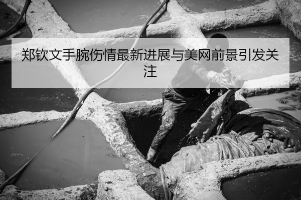 郑钦文手腕伤情最新进展与美网前景引发关注